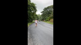 Saving a Sloth From a High Traffic Area