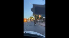 Puppy Rides Along on Motorcycle