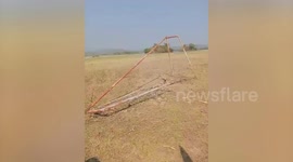 Camping family helps free puppy stuck in football goal net