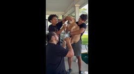 It Takes Three Guys to Trim This Anxious Pupper's Nails