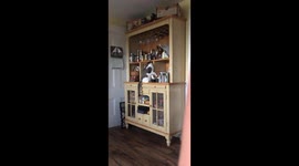 A Cat Who Knows What She Wants