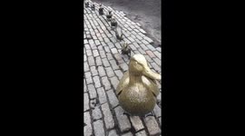 Pug Waits Patiently in Line