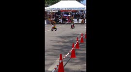 Boy in Bike Race Gets Distracted