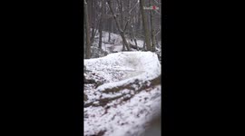 Fearless stunt rider's mid-air blunder results in GINORMOUS bike fail