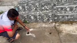 Cat with head poking through concrete manhole cover rescued by locals