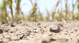 Severe drought exacerbates humanitarian crisis in war-torn Yemen