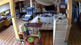 Wild monitor lizard runs through family's home in Thailand