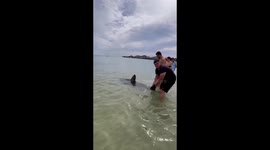 Brave vacationers rescue entangled shark in Primorsky Territory, Russia