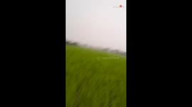 Family aboard a Hot Air Balloon had to do an emergency landing because of the rain