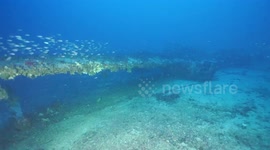 Remains Of US Bomber Crewman Recovered From Malta Seabed