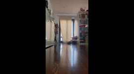How My Cat Greets Me