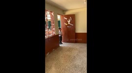 This'll melt your heart! 8-year-old celebrates first-ever birthday party thanks to kind-hearted school class