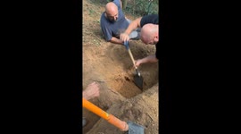 Search And Rescue For Pet Dachshund
