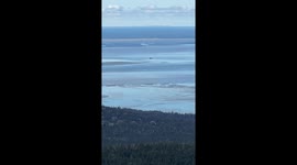 Airplane Intercepted by F-16’s After Violating TFR During President's Visit