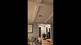 Hummingbird Flies Into Family's Home