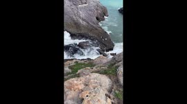 Ferocious waves knock over tourist as he crosses sea walkway in China