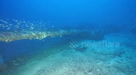 Remains of U.S. bomber crewman recovered from Malta seabed