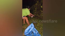 Sisters drag huge python out of garden bush in the middle of the night