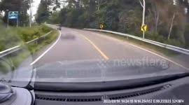 Bus crashes injuring seven passengers when driver, 73, suffers heart attack