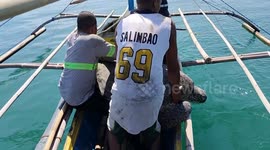 Endangered green sea turtle released from fishing boat in the Philippines