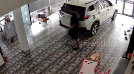 Deadly cobra snake leaps out at father as he walks through home