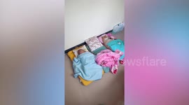 Pet dog joins baby in his naptime
