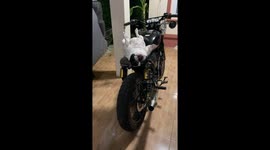 Pet French bulldog sprawls out on the back of motorcycle