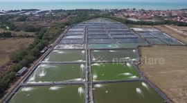 China, Indonesia eye stronger ties via