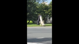 Inflatable Tube Man Has Got Some Moves