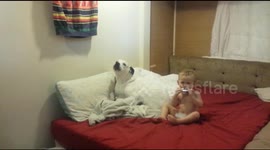 Baby And Dog In The Mood For A Melody