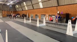 Koda The Dog Does An Agility Exercise