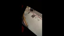 CTV Car chase Crash police pursuit Tree knocked down