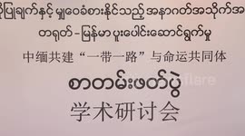 Chinese, Myanmar scholars discuss prospects of BRI cooperation