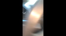 Woman finds her niece's hamster stuck in the AC vents of her truck *Hilarious Video*