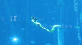 Burgeoning mermaid contest in China attracts int'l athletes