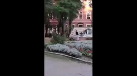 Mother's hoverboard stroller ride takes a dangerous turn