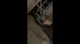 Viral video reveals mysterious dilapidated hospital section in Buenos Aires