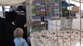 Ultra-Orthodox Jews perform Kaparot ritual ahead of Day of Atonement