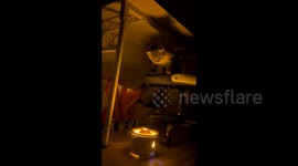 Chinese Kitten Mesmerized by Volcano-Shaped Steam Humidifier in Hubei, China