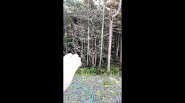 Woman Hand-Feeds Wild Blue Jay