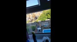 Neighbor Hits Himself With Shovel