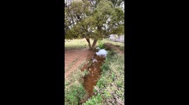 Riacho próximo da fazenda, muito bonito e aproveite e gravei essa paisagem linda