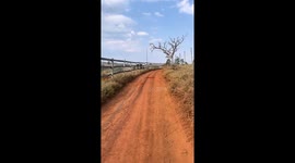 Uma estada muito linda de chão vermelho com cercas de madeiras muito linda essa estrada