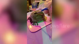 Baker brushes edible paint on giant tick cake