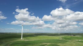 Aline-alkali land transformed into tourism corridor in NE China's Jilin