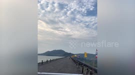 Stray dog fights off strong winds blowing on pier
