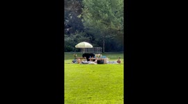 The real Yogi Bear? Black bear steal birthday picnic