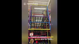 Jungle Gym Fail