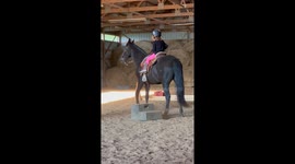 Horse Rider Scares Her Horse With A Toot