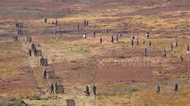 Driven Grouse shooting on the  North Yorkshire Moors,UK